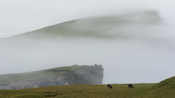 나는 페로 제도에 있었지