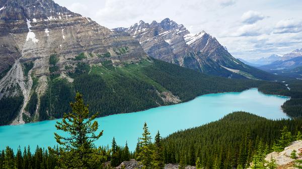 Peyto Lake